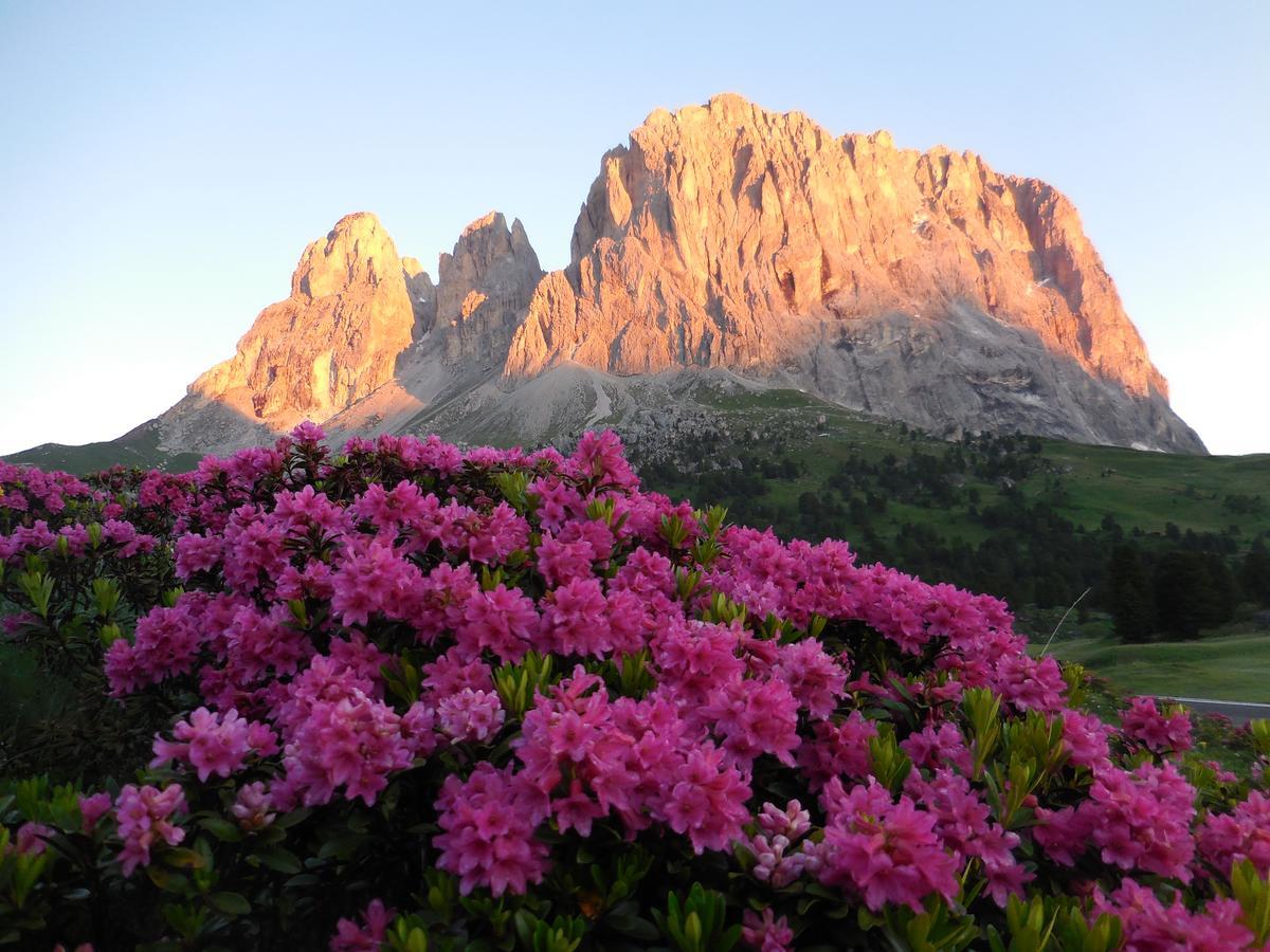 Al Viel Hotel Canazei