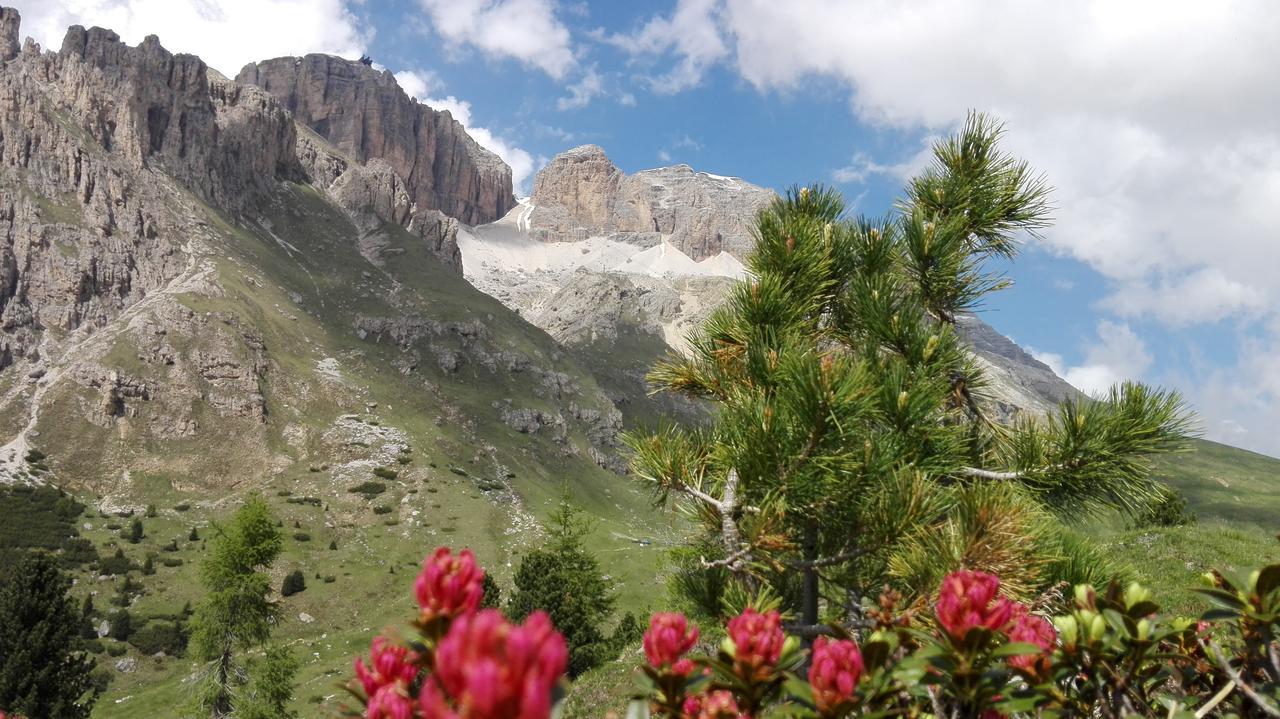 Al Viel Hotel Canazei